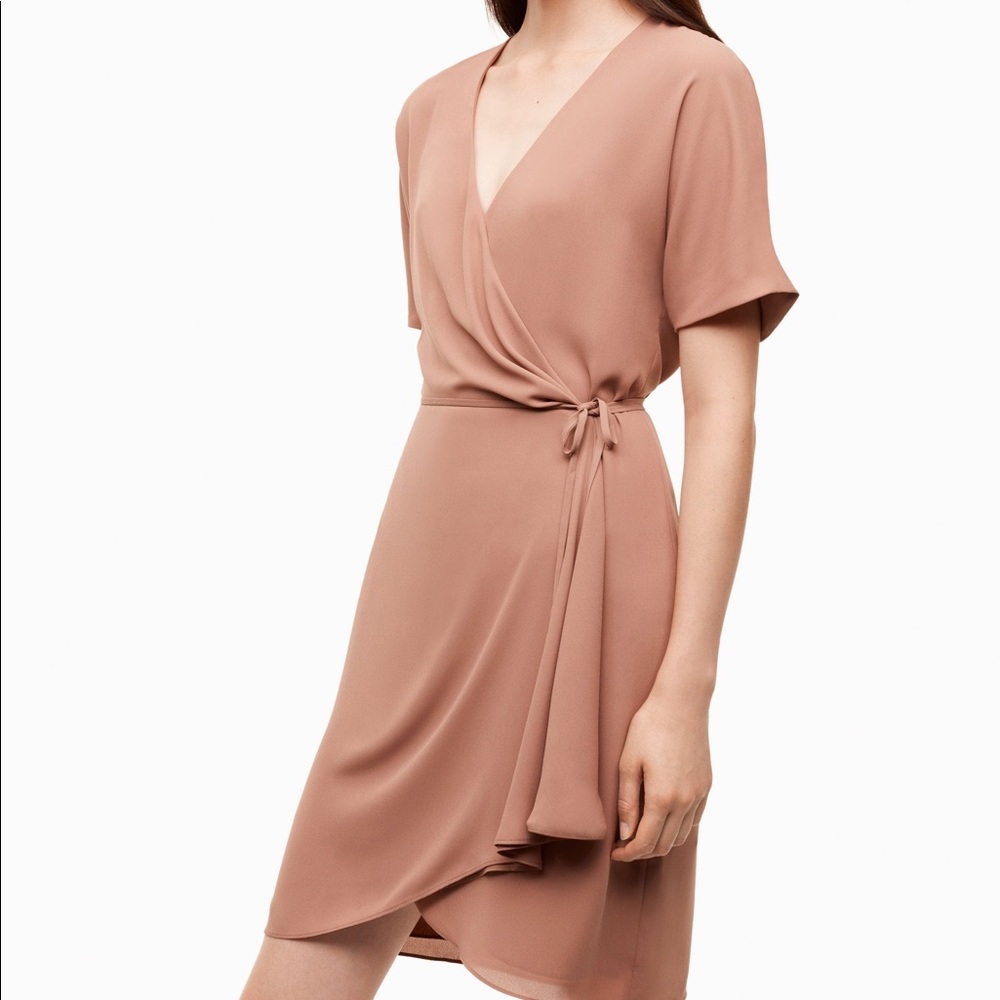 Aritzia Wallace Dress